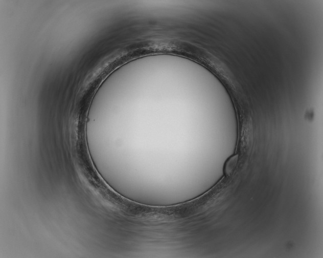 X0000116460722200912231400