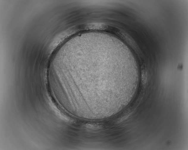 X0000116460725200912231400