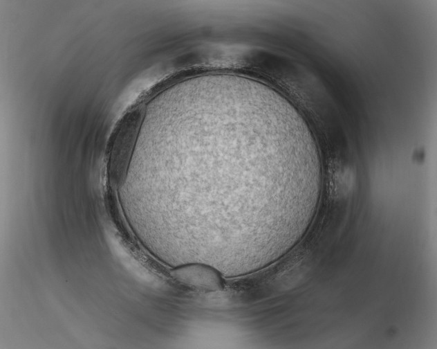 X0000116460726200912231400