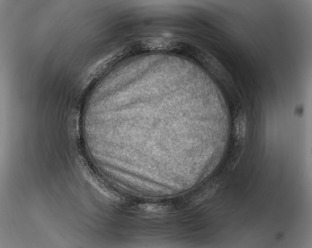 X0000116460733200912231400