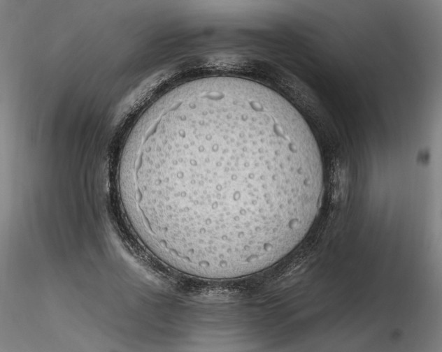 X0000116460734200912231400