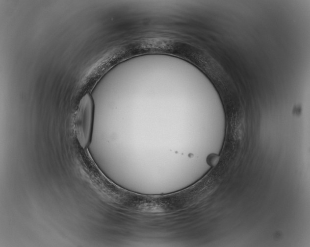 X0000116460735200912231400