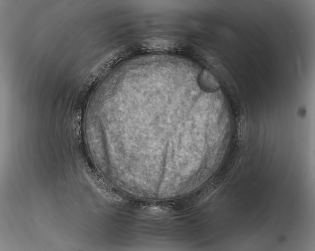 X0000116460737200912231400