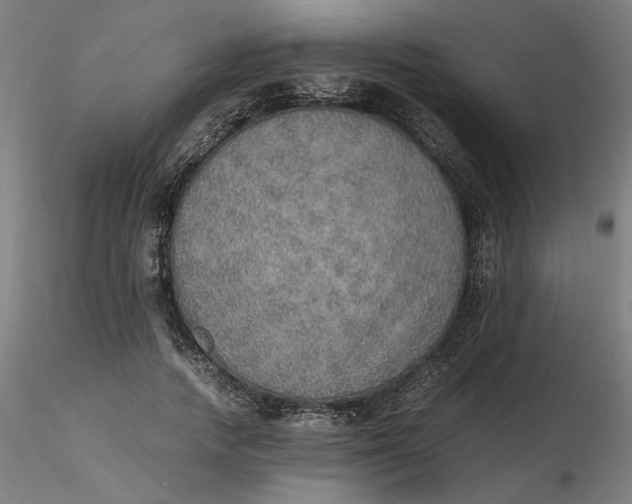 X0000116460738200912231400