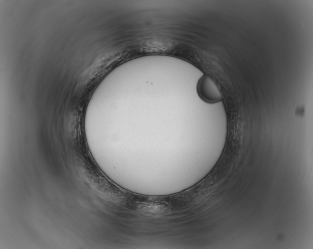 X0000116460743200912231400