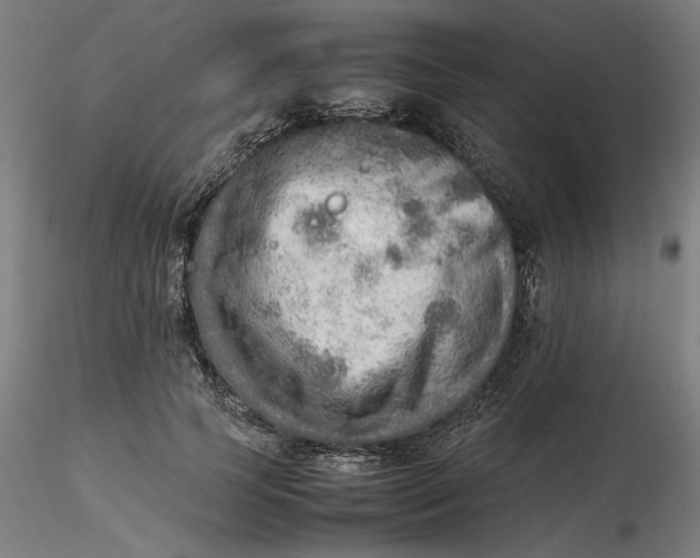 X0000116460745200912231400