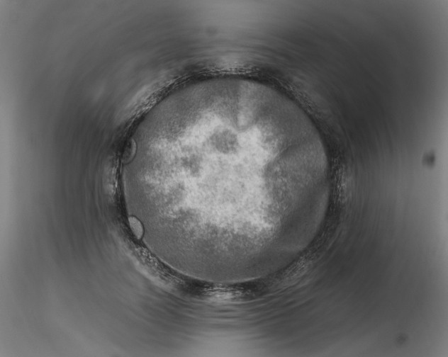 X0000116460746200912231400