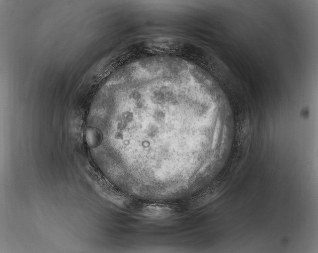 X0000116460749200912231400