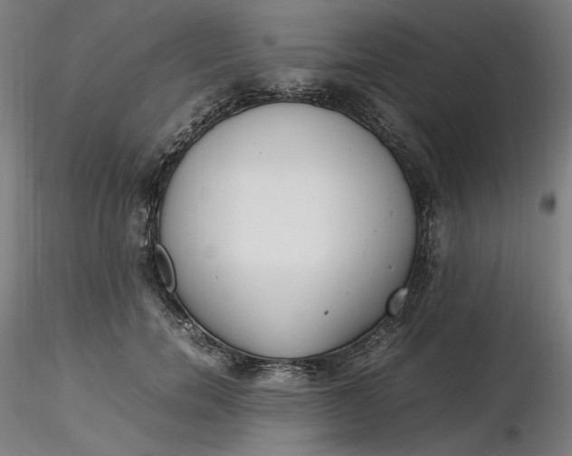 X0000116460750200912231400