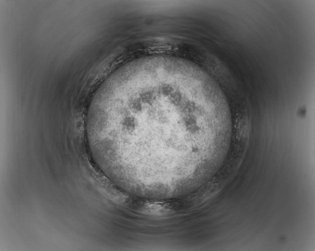 X0000116460753200912231400