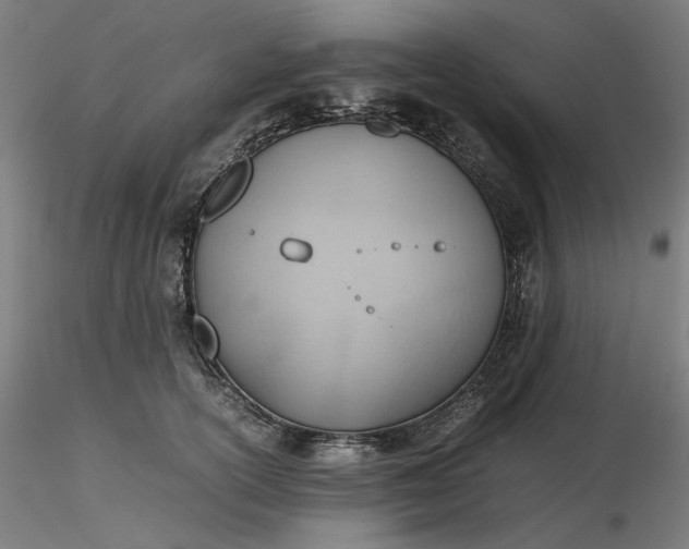 X0000116460754200912231400