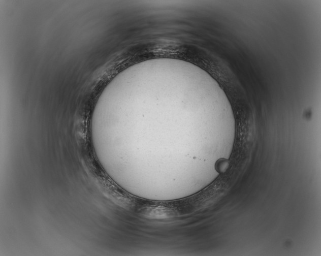 X0000116460755200912231400