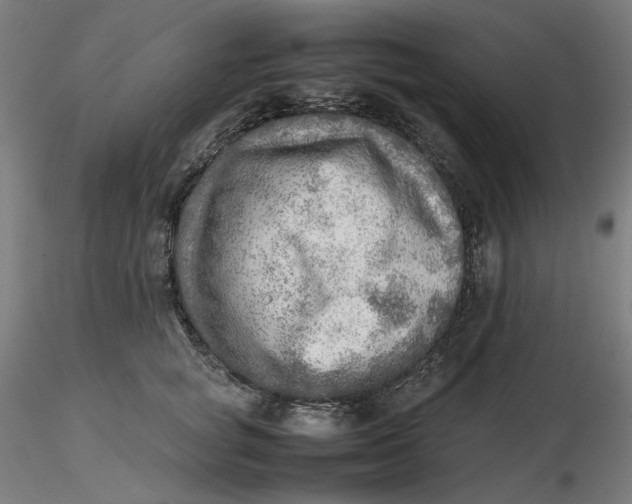 X0000116460757200912231401