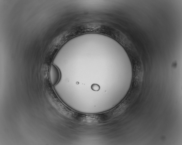 X0000116460758200912231401