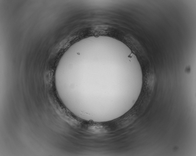 X0000116460759200912231401
