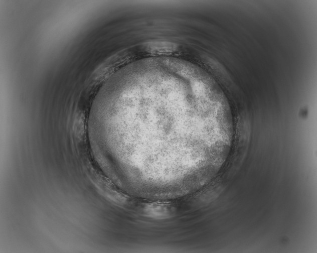 X0000116460761200912231401