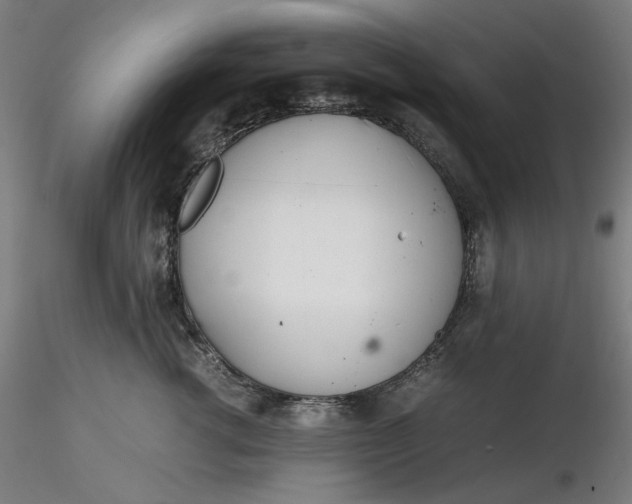 X0000116460762200912231401