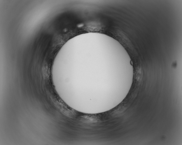 X0000116460763200912231401