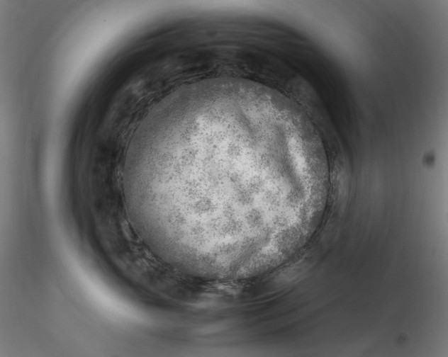 X0000116460765200912231401