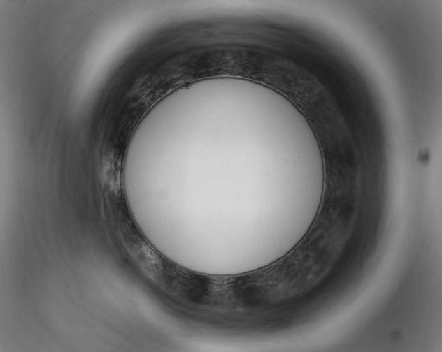 X0000116460766200912231401