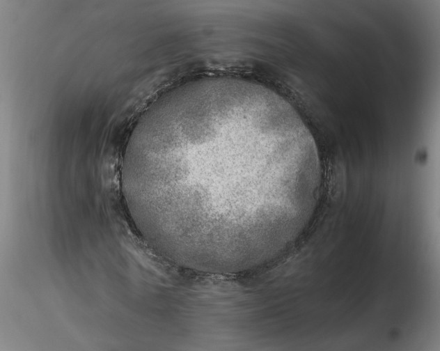 X0000116460770200912231400