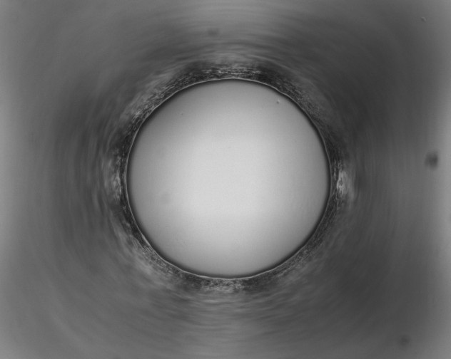 X0000116460771200912231400