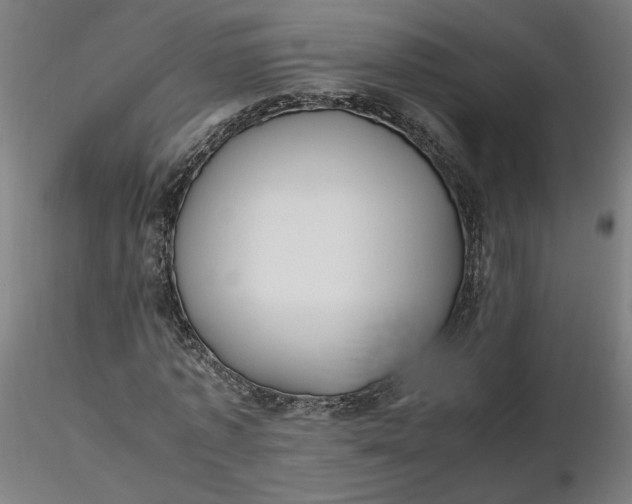 X0000116460773200912231400