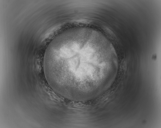 X0000116460774200912231400