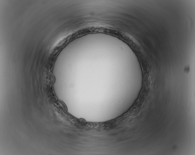 X0000116460775200912231400