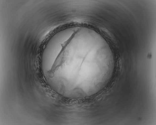 X0000116460776200912231400
