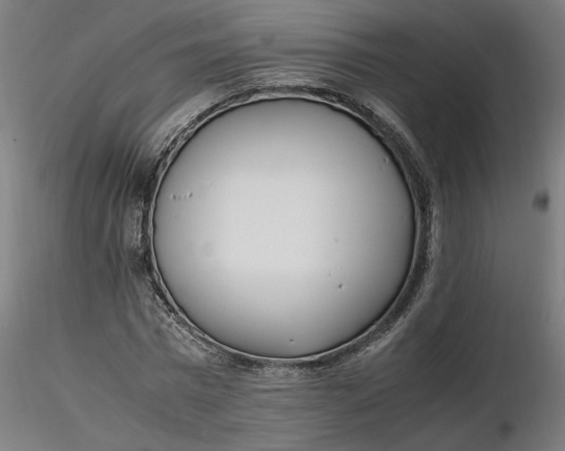 X0000116460777200912231400