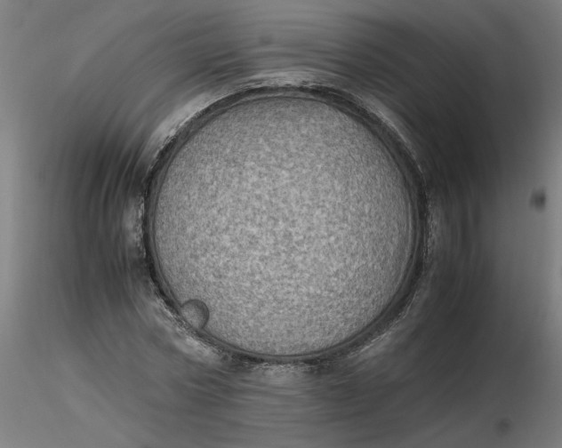 X0000116460778200912231400