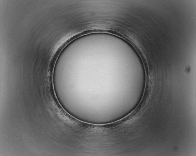 X0000116460779200912231400