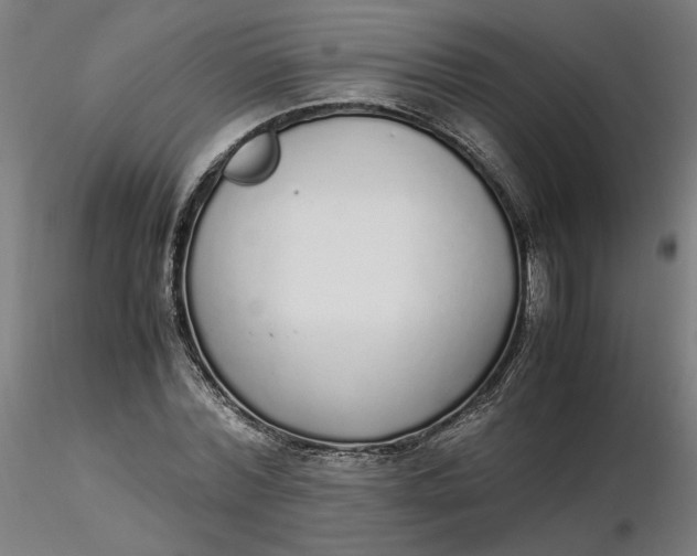 X0000116460780200912231400