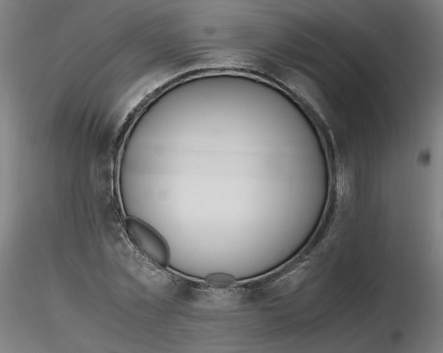 X0000116460781200912231400