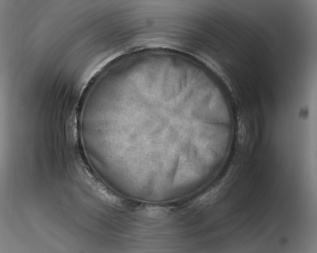 X0000116460782200912231400