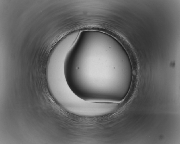 X0000116460785200912231400