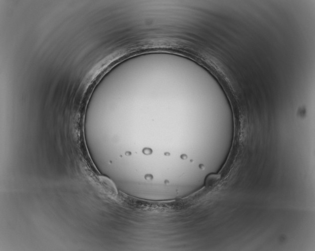 X0000116460786200912231400