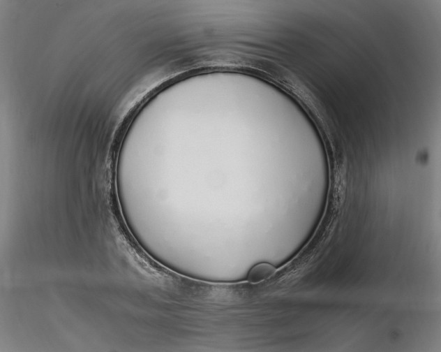 X0000116460787200912231400