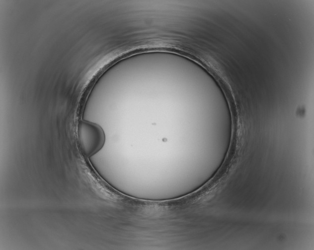 X0000116460789200912231400