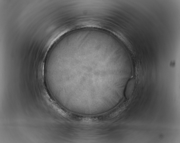 X0000116460790200912231400