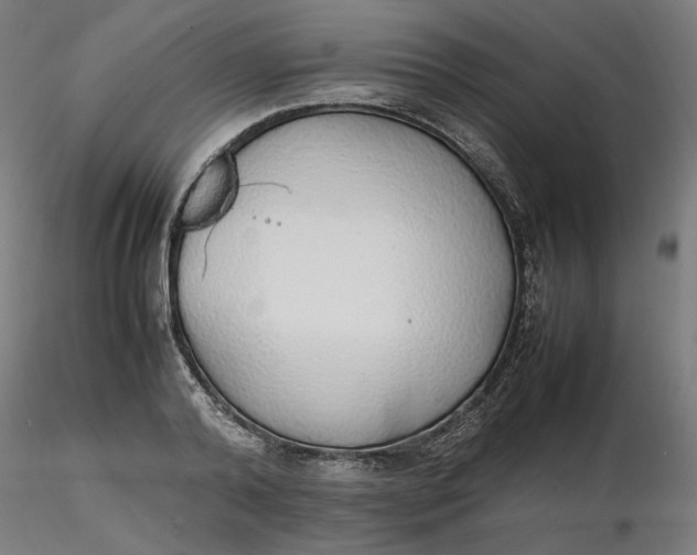 X0000116460792200912231400