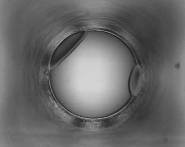 X0000116460793200912231400
