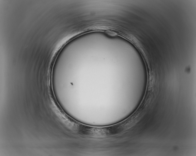 X0000116460795200912231400