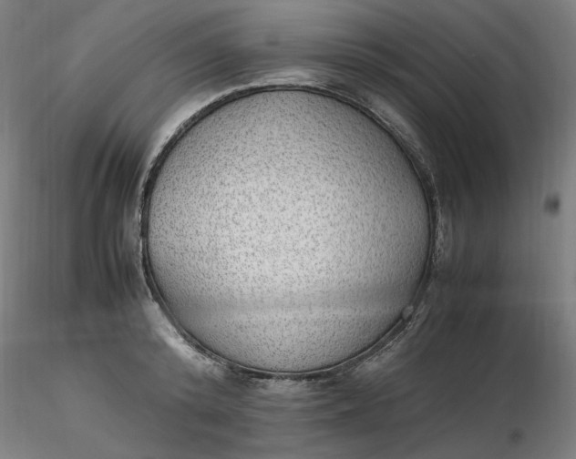 X0000116460800200912231400
