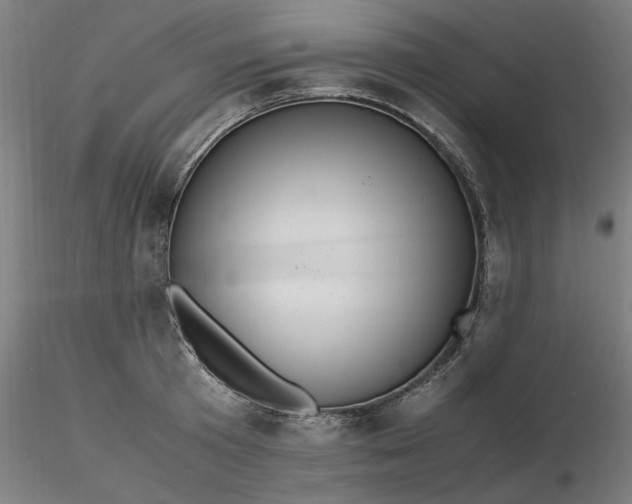 X0000116460801200912231400