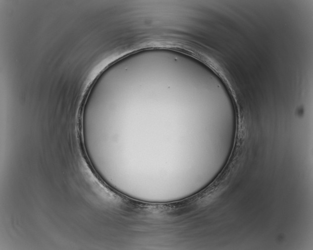 X0000116460803200912231400