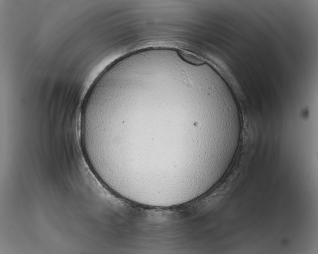 X0000116460804200912231400