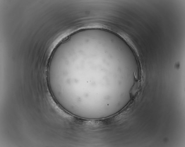 X0000116460805200912231400