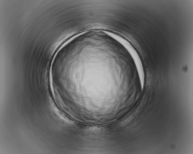 X0000116460806200912231400